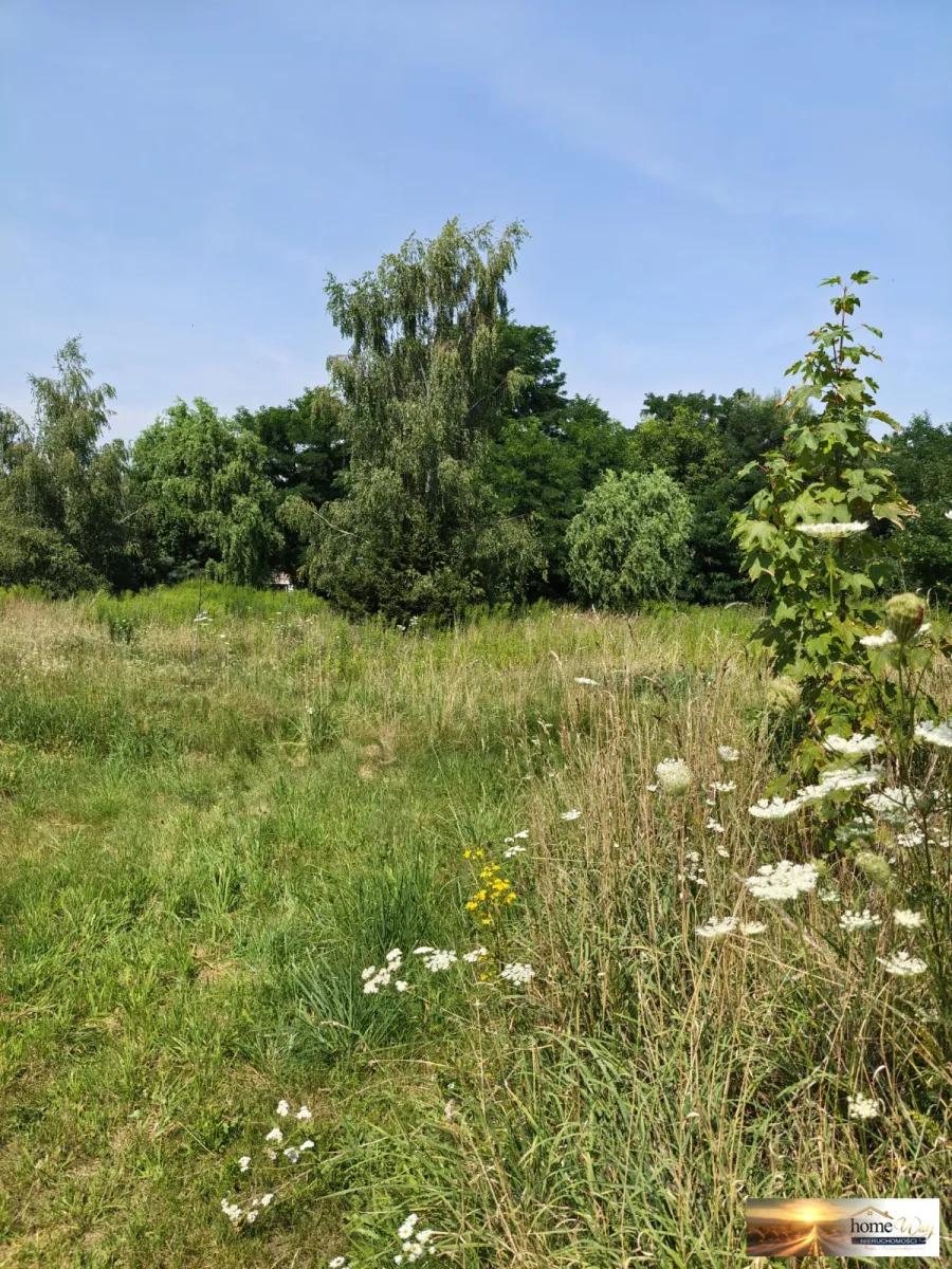 DZIAŁKA BUDOWLANA- 2536 m² -GRODOWIEC
