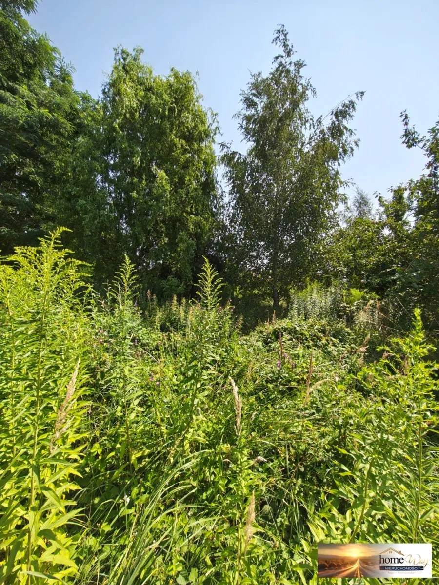 DZIAŁKA BUDOWLANA- 2536 m² -GRODOWIEC