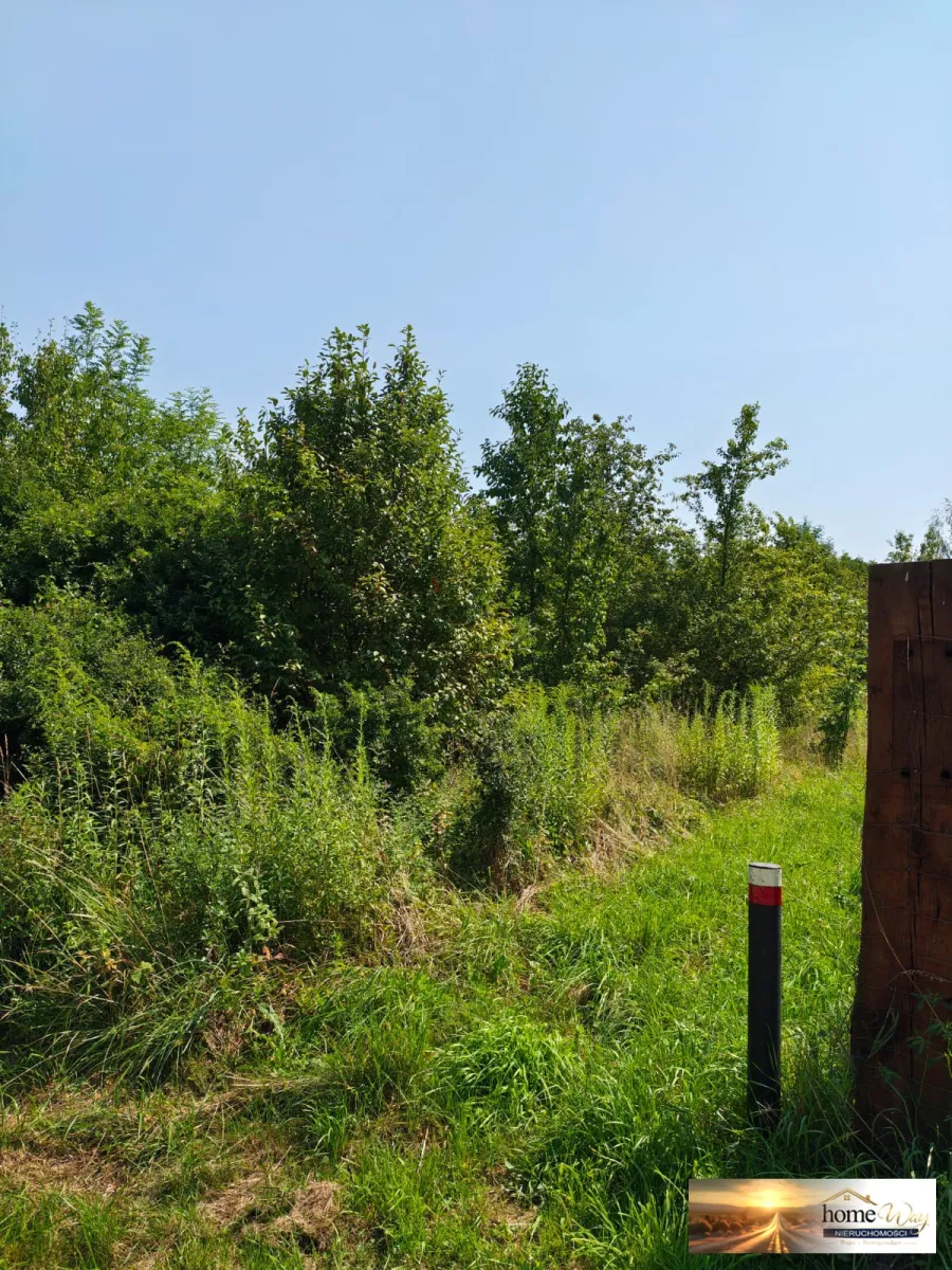 DZIAŁKA BUDOWLANA- 2536 m² -GRODOWIEC