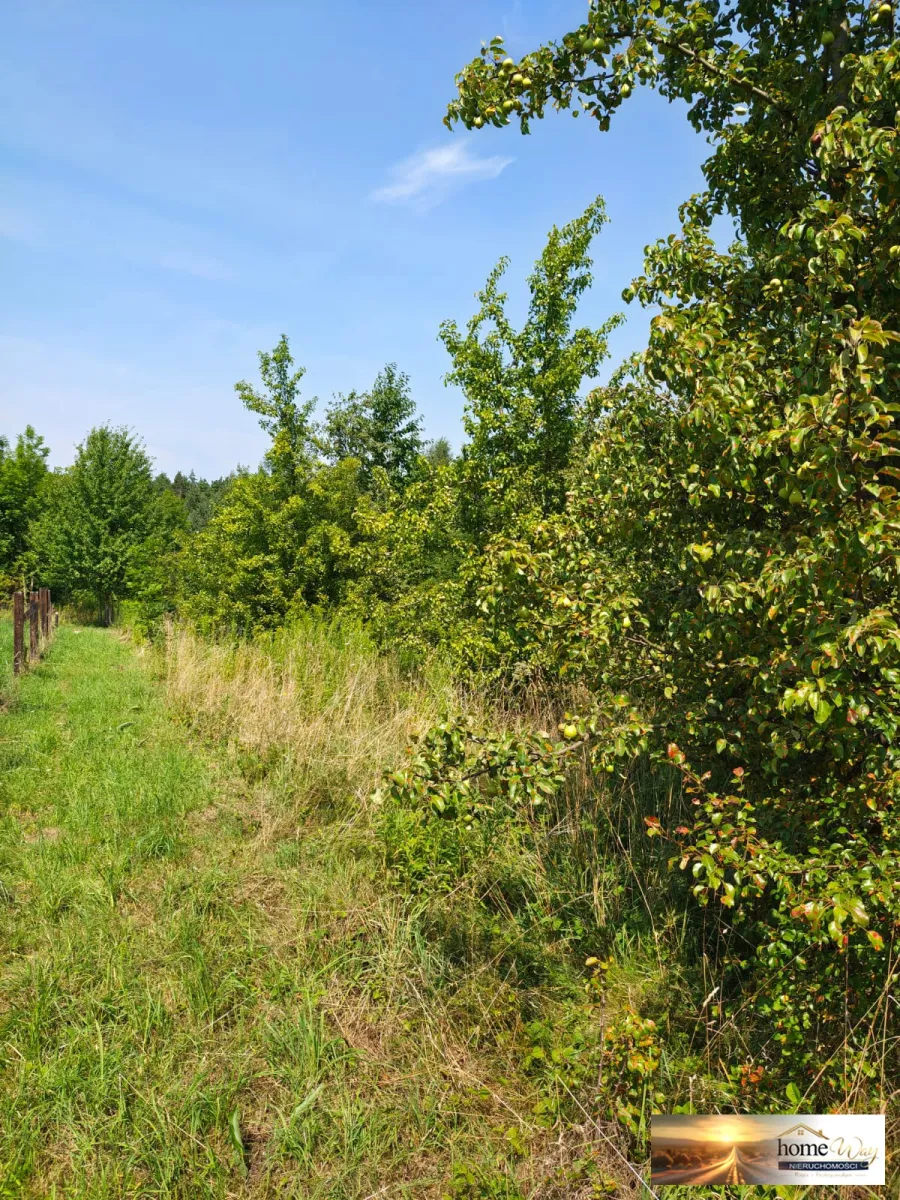 DZIAŁKA BUDOWLANA- 2536 m² -GRODOWIEC
