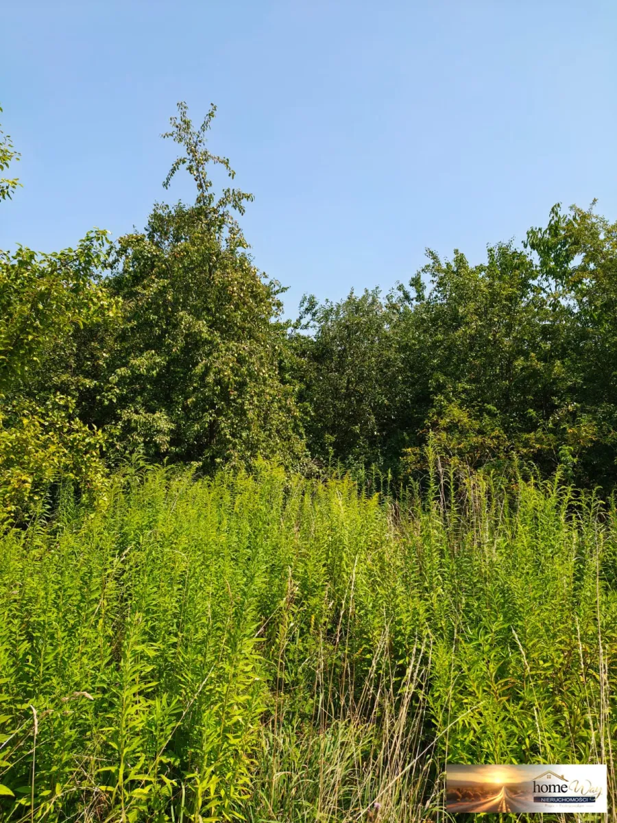 DZIAŁKA BUDOWLANA- 2536 m² -GRODOWIEC