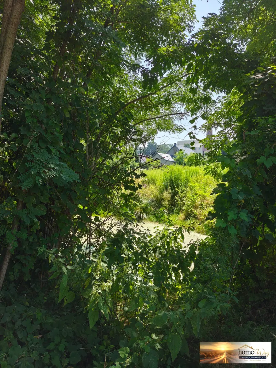 DZIAŁKA BUDOWLANA- 2536 m² -GRODOWIEC