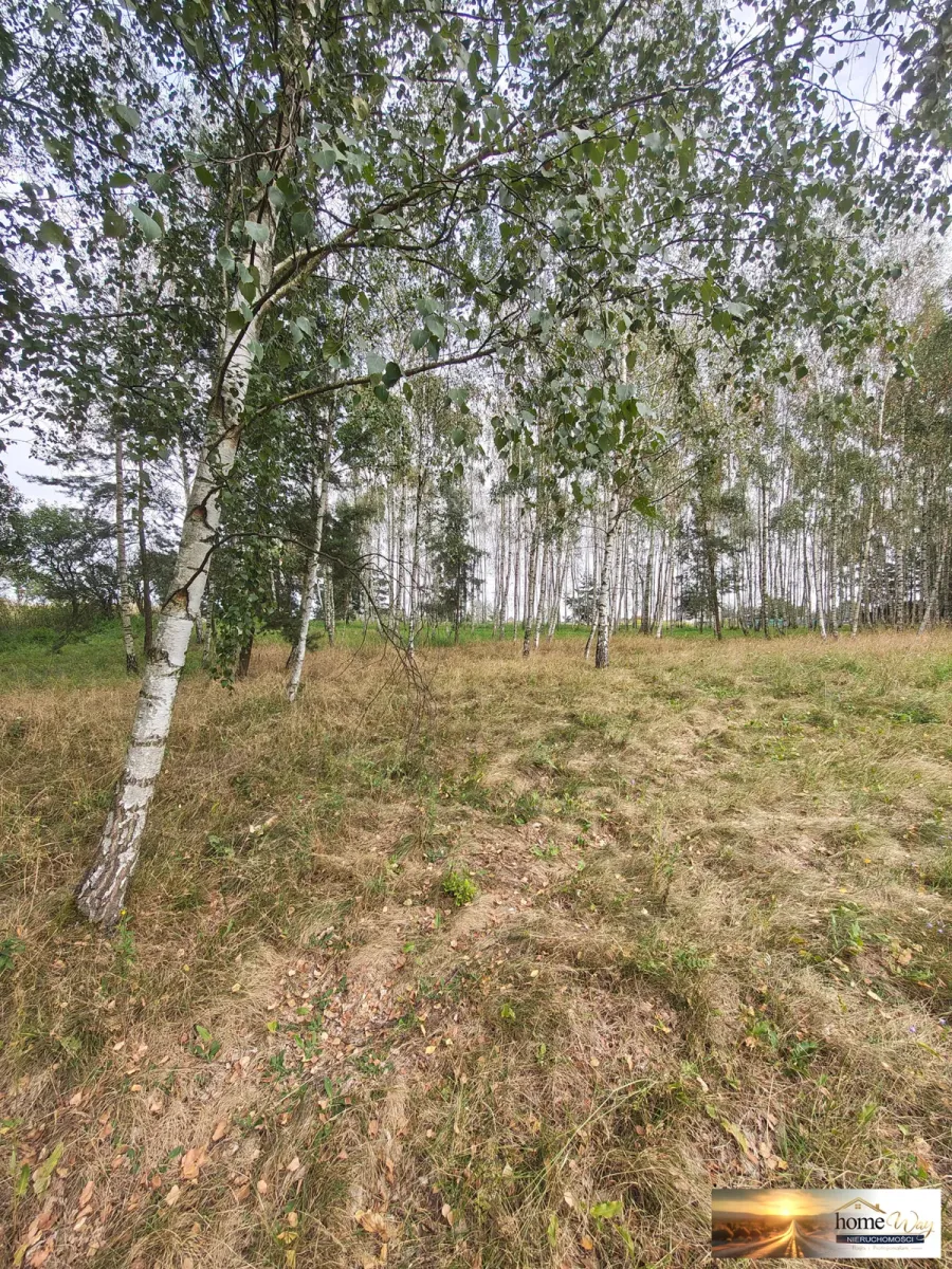 DZIAŁKA BUDOWLANA 1211 m² - WITKÓWEK