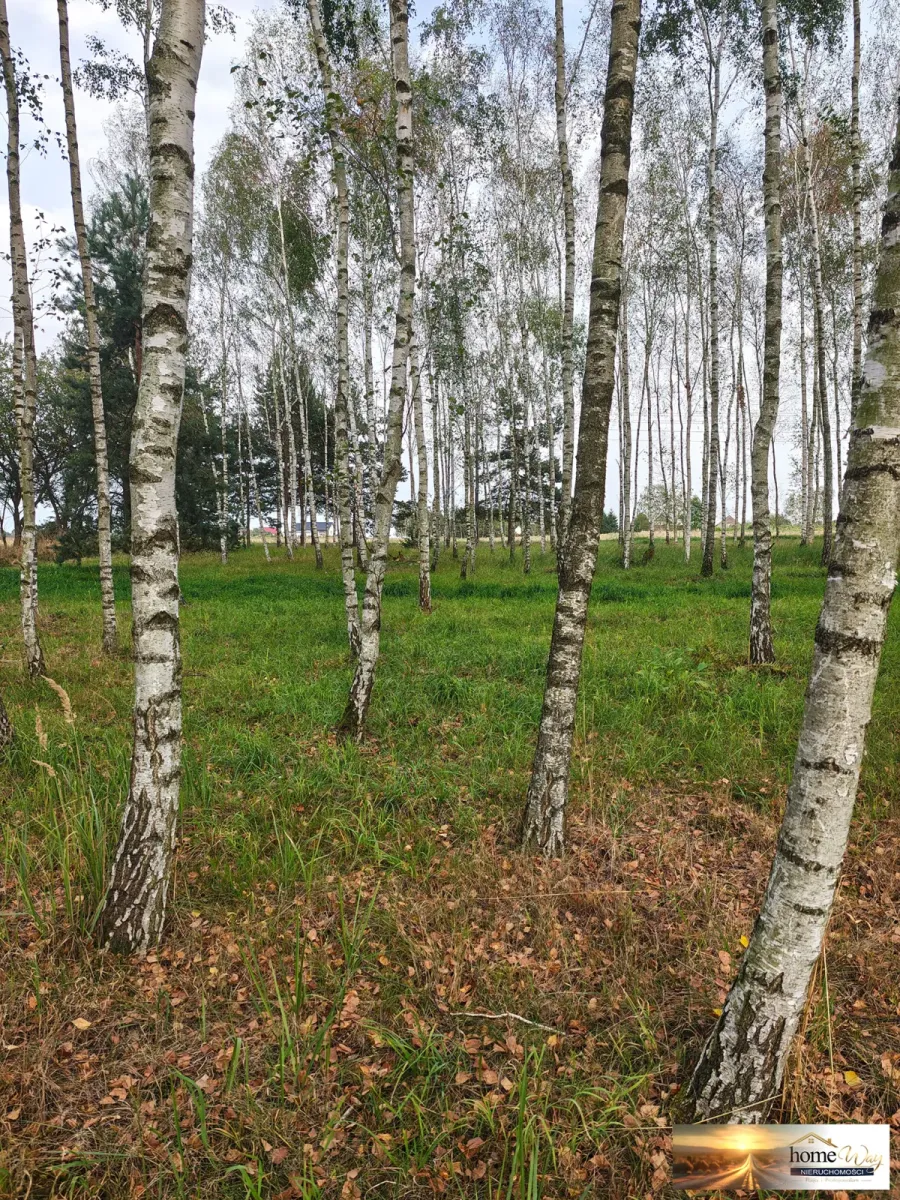 DZIAŁKA BUDOWLANA 1211 m² - WITKÓWEK