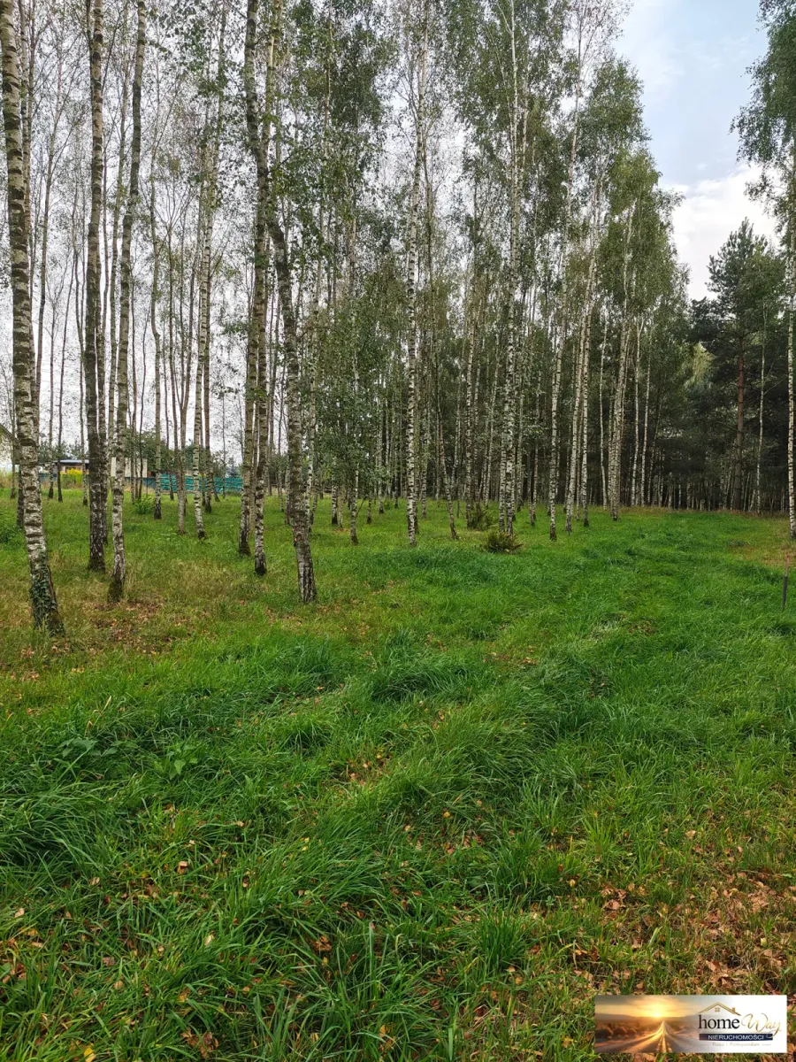 DZIAŁKA BUDOWLANA 1211 m² - WITKÓWEK