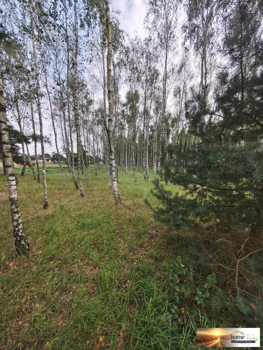 DZIAŁKA BUDOWLANA 1211 m² - WITKÓWEK